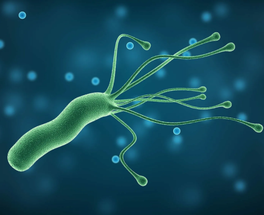Дыхательный тест на Helicobacter pylori